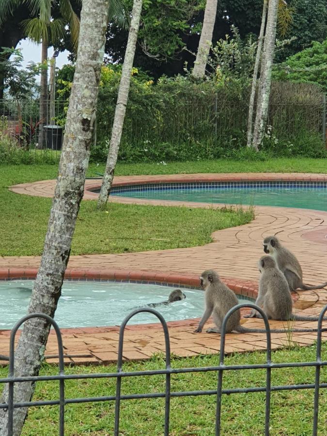 Unit 30 The Bridge - Family Unit In A Prime Spot On The Ground Floor Apartamento Saint Lucia Estuary Exterior foto