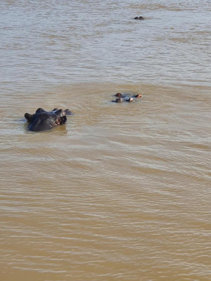 Unit 30 The Bridge - Family Unit In A Prime Spot On The Ground Floor Apartamento Saint Lucia Estuary Exterior foto