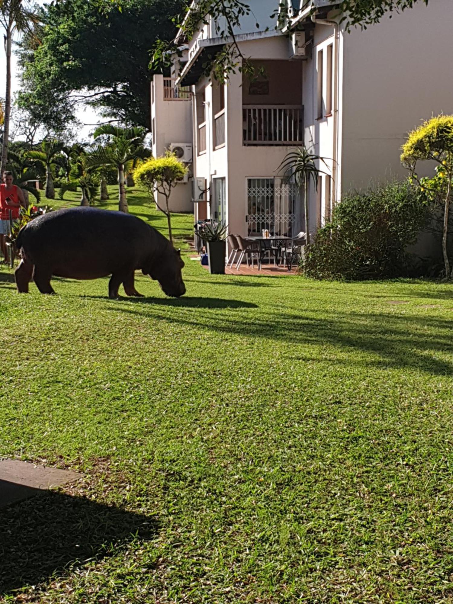 Unit 30 The Bridge - Family Unit In A Prime Spot On The Ground Floor Apartamento Saint Lucia Estuary Exterior foto